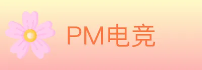 PM电竞 logo